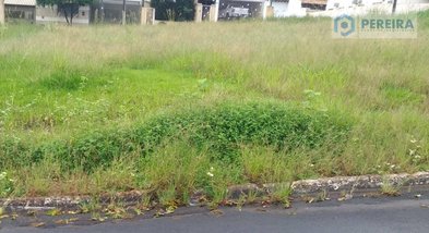 land_lot em Rua Francisco Sanches Fuentes, Centro - Valentim Gentil - SP