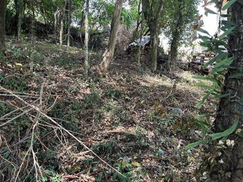 land_lot em Rua Frei Miguel, São Francisco - Garibaldi - RS