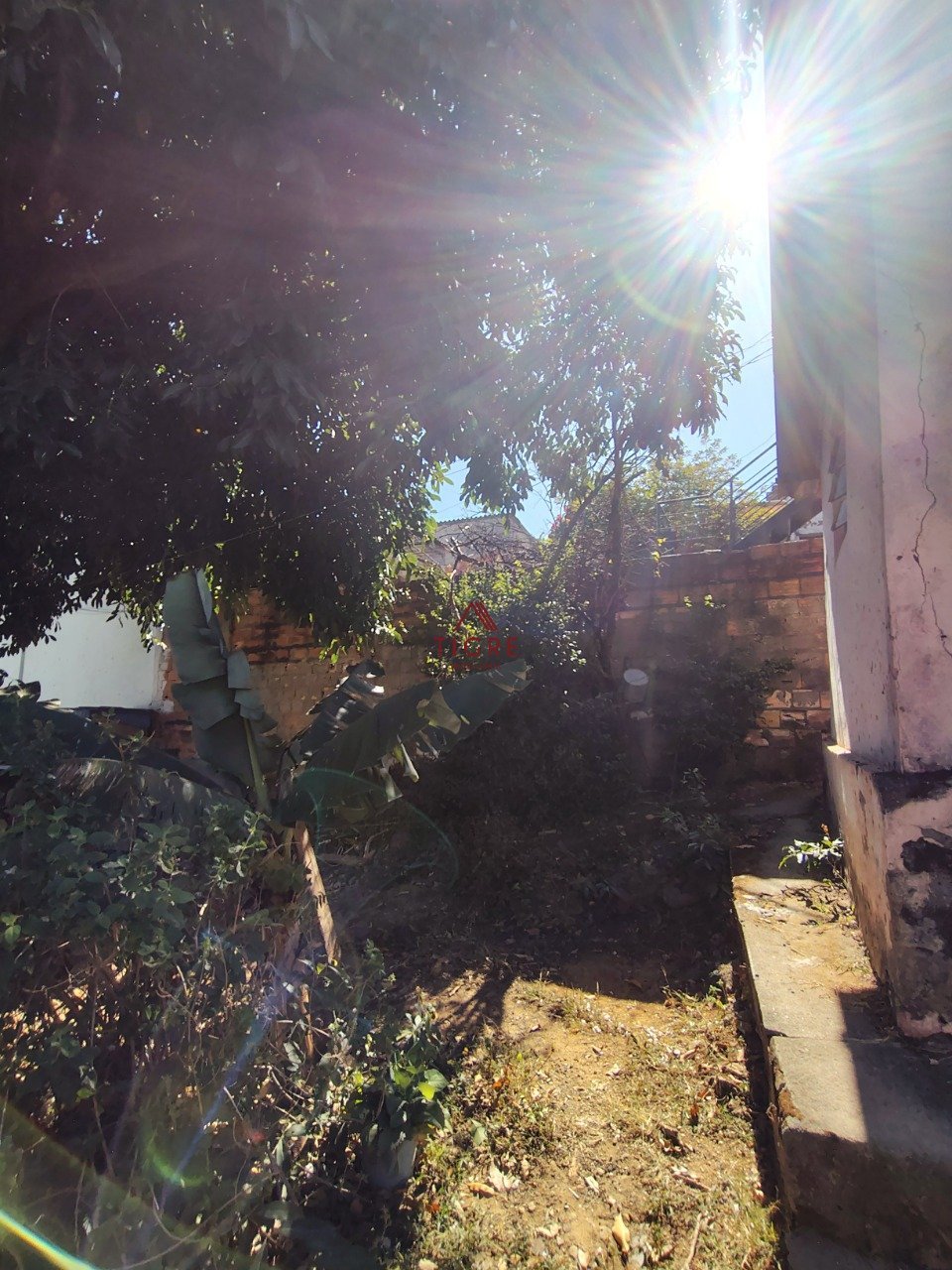 IMG_20250808_100031651_HDR (1)