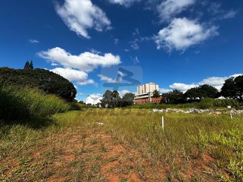 commercial_land_lot em Georg Rexroth, Piraporinha - Diadema - SP