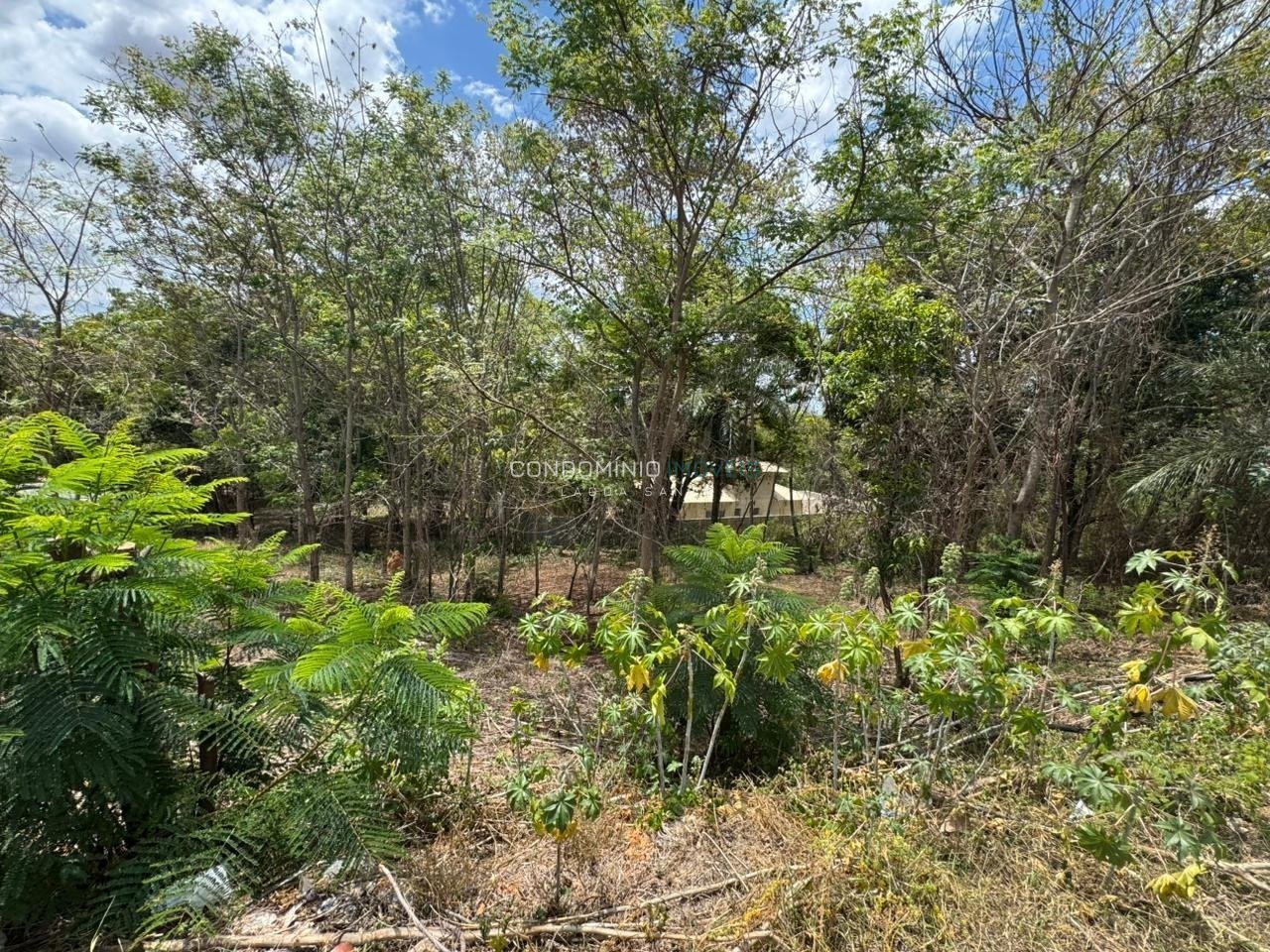 WhatsApp Image 2025-11-05 at 11.42