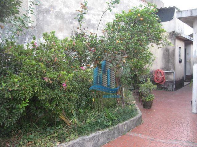 image-0