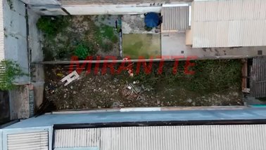 land_lot em Curuçá, Vila Maria Baixa - São Paulo - SP