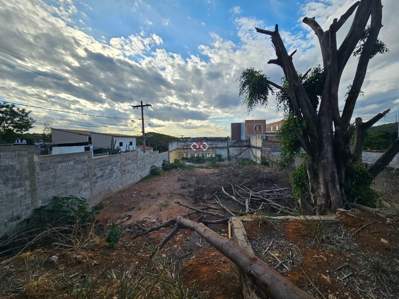 WhatsApp Image 2025-10-29 at 08.59