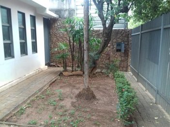 commercial_building em Avenida Saudade, Saudade - Araçatuba - SP