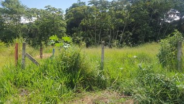 land_lot em Rua Saudeli Duarte, Bela Vista - Palhoça - SC