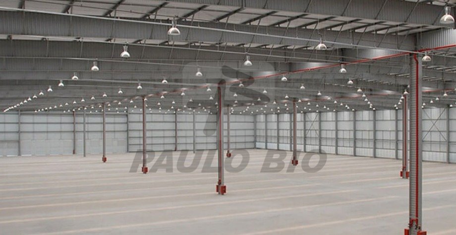 image - 2025-08-22T095847