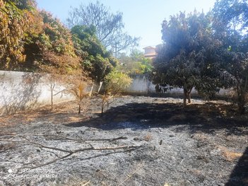 land_lot em Alameda dos Cedros, Lagoa Santa - Lagoa Santa - MG