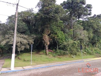 land_lot em Rua Alziro Torres Filho, São Francisco de Paula - São Francisco de Paula - RS