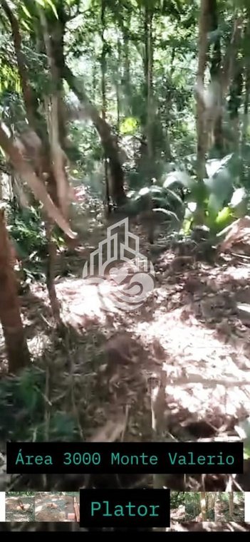land_lot em Estrada Acrísio Ceschi, Monte Valério - Ubatuba - SP