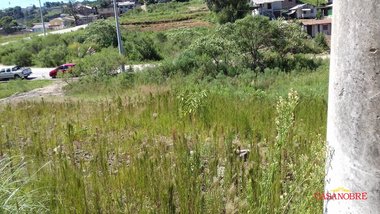 land_lot em Rua Libera Spido Rech, Nossa Senhora das Graças - Caxias do Sul - RS
