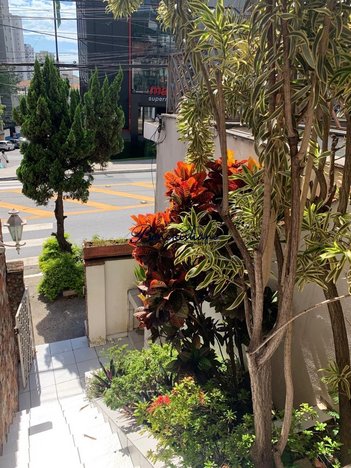 house em Rua Voluntários da Pátria, Santana - São Paulo - SP