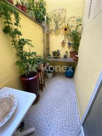 house em Rua Capitão Gustavo Lauro Korte, Vila Nova Mazzei - São Paulo - SP
