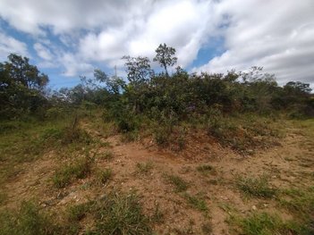 land_lot em Avenida Serra da Piedade, Conjunto Morada da Serra - Sabará - MG