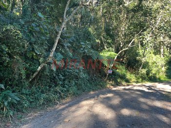 land_lot em Alameda Campinas, Jardim Paulista - São Paulo - SP