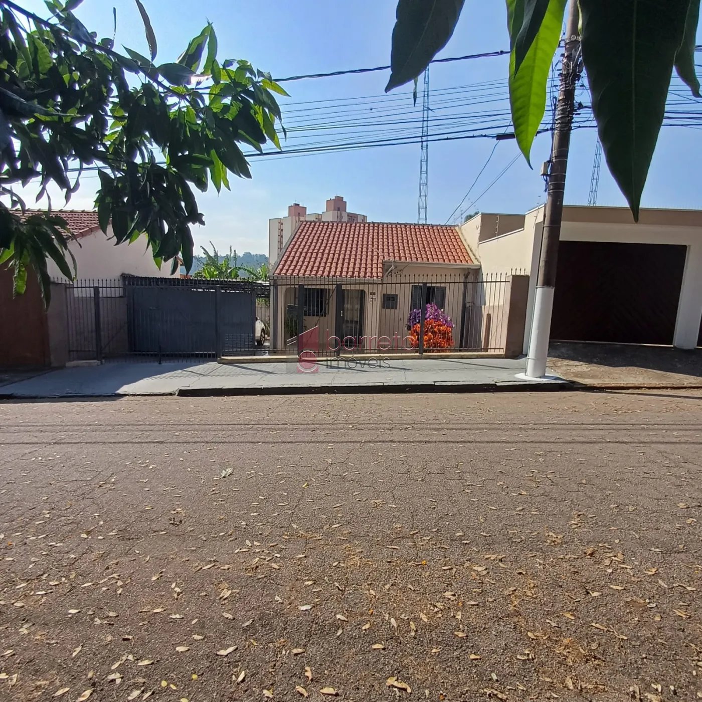 image-0