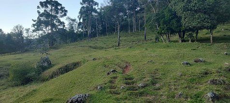 land_lot em Rodovia José Carlos Daux, Santo Antônio de Lisboa - Florianópolis - SC