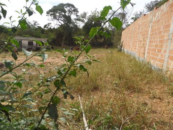 land_lot em Margem Frei Sabino, Nova Holanda - Divinópolis - MG
