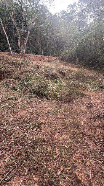land_lot em Estrada Acurui, Acuruí - Itabirito - MG
