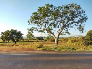 land_lot em Rodovia BR-365, Conjunto Alvorada - Uberlândia - MG