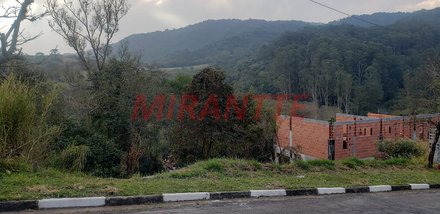 land_lot em Rua Horácio Coimbra, Jardim Peri - São Paulo - SP