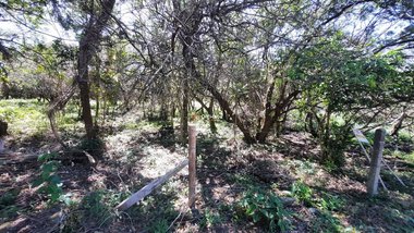 land_lot em Servidão Pedro Manoel Borba, Pântano do Sul - Florianópolis - SC