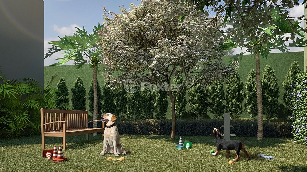jardim-com-bancos-e-cachorros