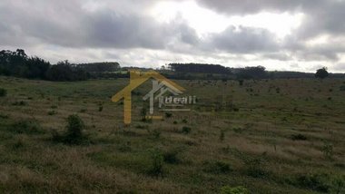 agricultural em Avenida Deoclecio Rodrigues, Berto Cirio - Nova Santa Rita - RS