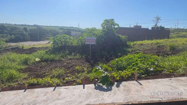land_lot em Avenida dos Estudantes, Ibiporã - Ibiporã - PR