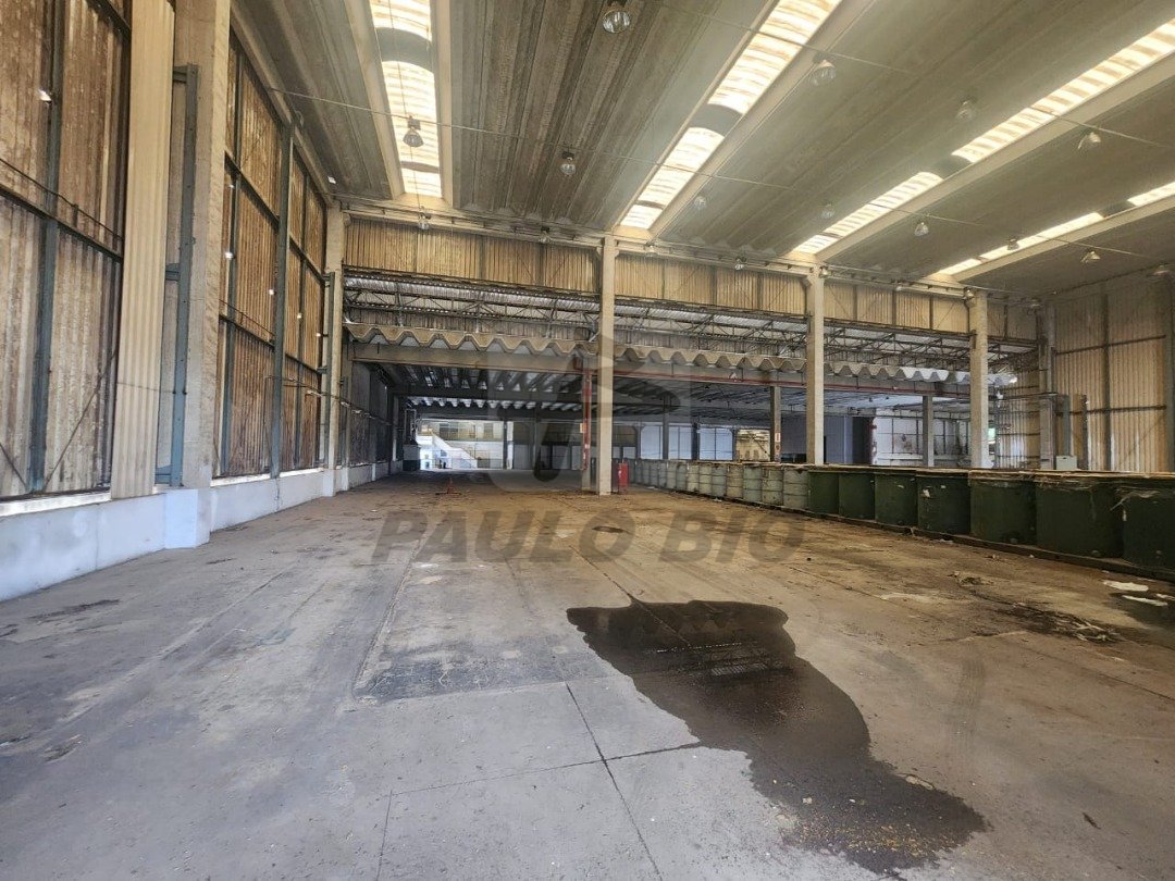 WhatsApp Image 2025-08-05 at 14.11