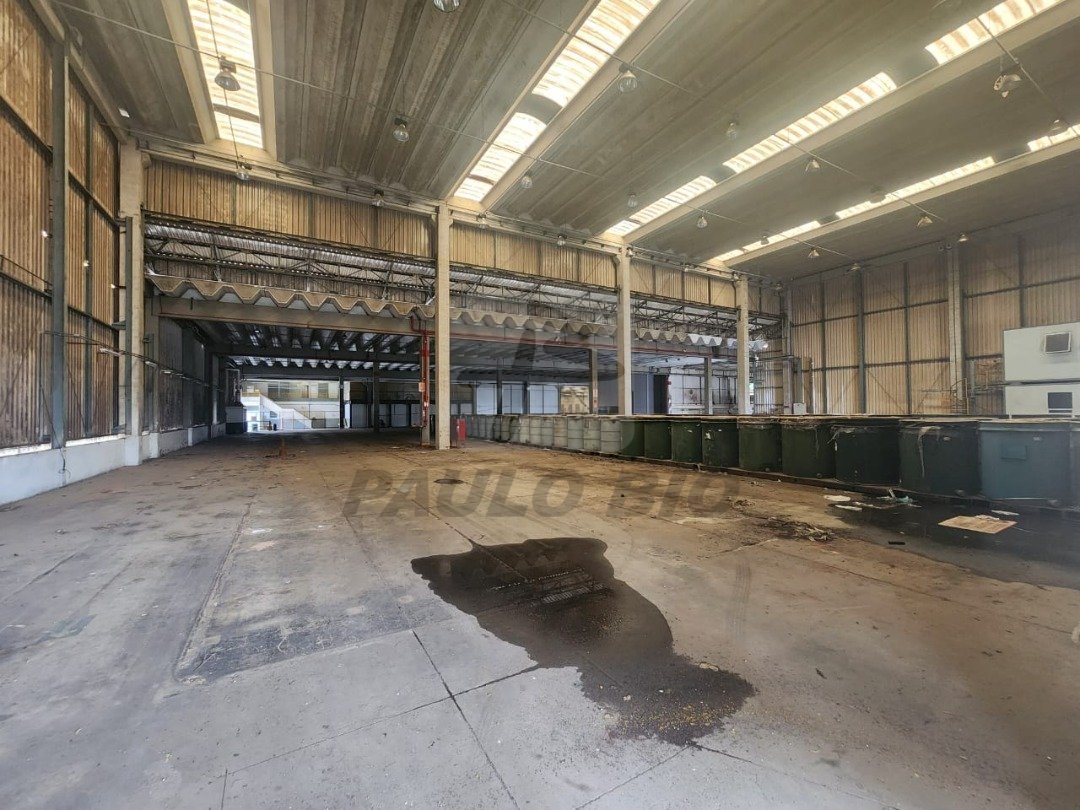 WhatsApp Image 2025-08-05 at 14.11