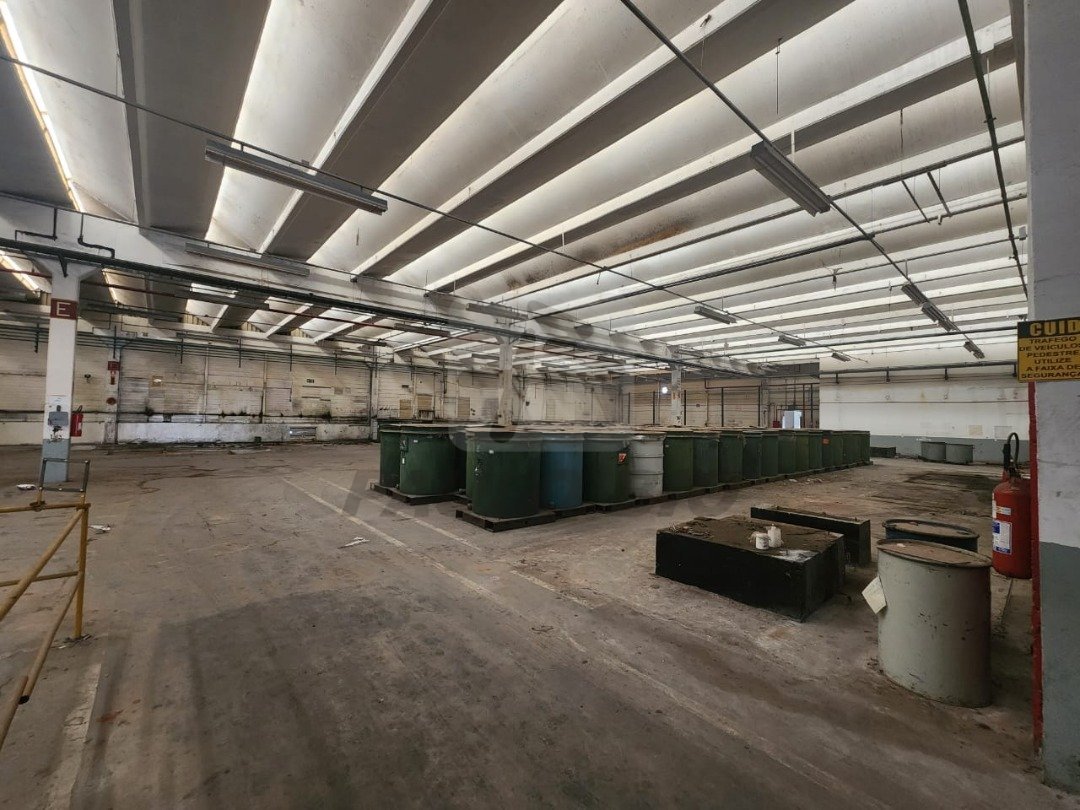 WhatsApp Image 2025-08-05 at 14.12