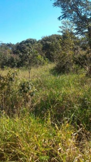 agricultural em Avenida Lago das Roseiras, Chácaras Sambeca-Núcleo Urbano Roseiras - Divinópolis - MG