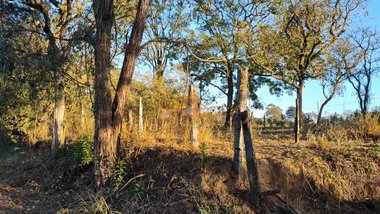 land_lot em Rodovia Luiz Gonzaga de Amoedo Campos, Paraíso da Cachoeira - Mogi Mirim - SP