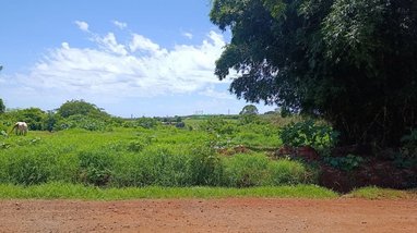 commercial_land_lot em Rua Joaquim Felismino da Silva, Cilo 3 - Londrina - PR