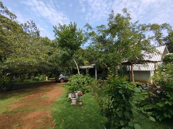 agricultural em Área Rural de Palmas, Área Rural de Palmas - Palmas - TO