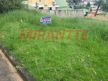 land_lot em Rua Maestro Otto Wey, Jardim Itatiaia - São Paulo - SP