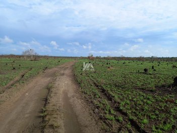 agricultural em Rua Indaiá, Lagoinha - Porto Velho - RO