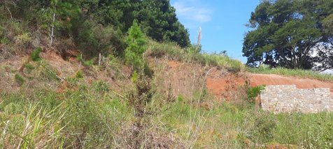 land_lot em Rodrigo Rampinelli Jeremias, Itacorubi - Florianópolis - SC