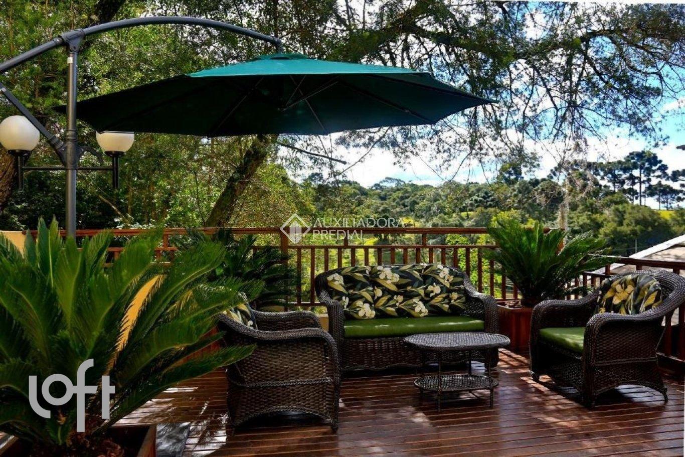 WhatsApp Image 2025-03-06 at 13.58