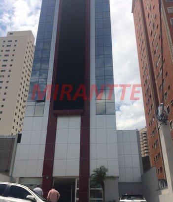 office em Zanzibar, Casa Verde - São Paulo - SP