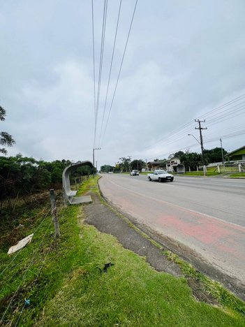 land_lot em Rodovia Luiz Rosso, São Luiz - Criciúma - SC