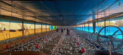 agricultural em Praça Galba Veloso, Centro - Pará de Minas - MG