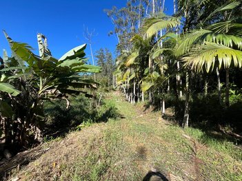 land_lot em Rua Planície Alta, Planície Alta - Guabiruba - SC