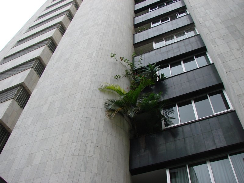 Cobertura com 3 quartos — Sion, Belo Horizonte
