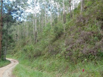 land_lot em dos Eucaliptos, Fazenda Inglesa - Petrópolis - RJ