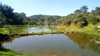 agricultural em Estrada do Sertão, Quinta Divisão - Suzano - SP