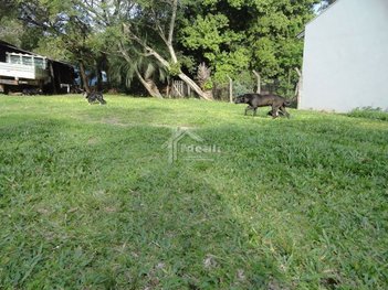 land_lot em Avenida Coronel Theodomiro Porto da Fonseca, Ipiranga - Sapucaia do Sul - RS