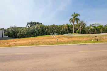 land_lot em Rodovia BR-277 Curitiba-Ponta Grossa, Cidade Industrial - Curitiba - PR