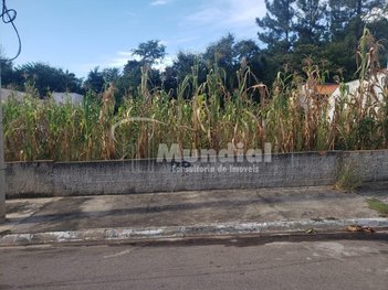land_lot em Rua Djalma Lucio Rugolo, Jardim Antonio Rugolo - Laranjal Paulista - SP